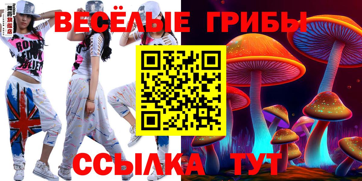 Галлюциногенные грибы прущие грибы  Вход с VPN  Гусь-Хрустальный 