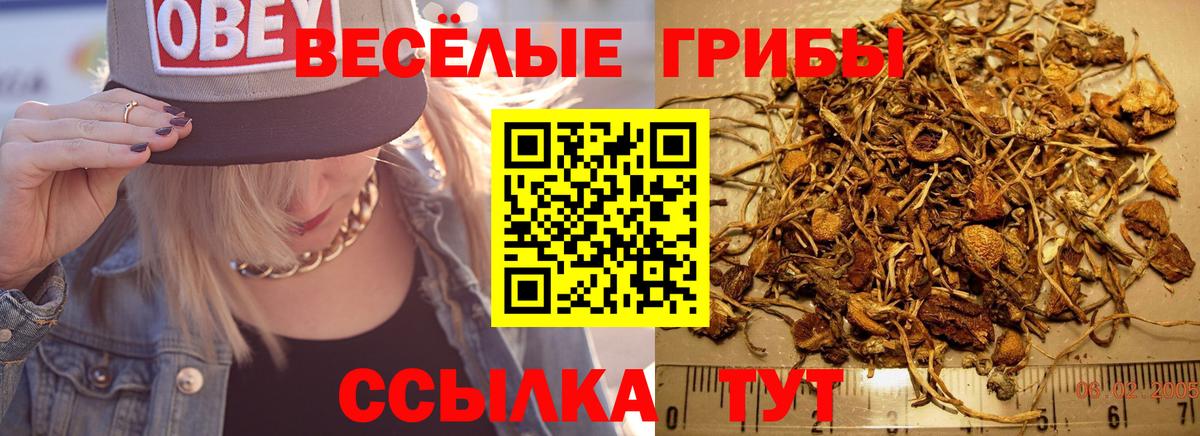 Галлюциногенные грибы Cubensis Гусь-Хрустальный